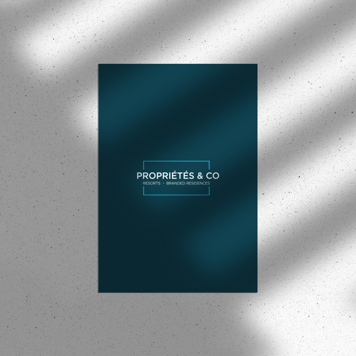 Propriétés & Co